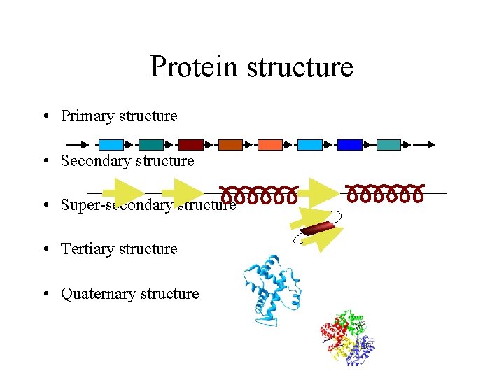 Protein structure • Primary structure • Secondary structure • Super-secondary structure • Tertiary structure