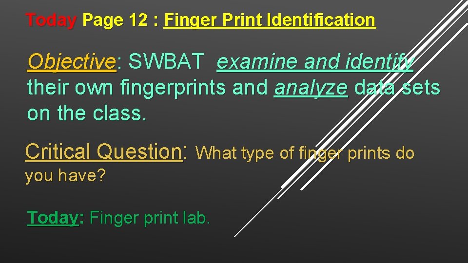 Today Page 12 : Finger Print Identification Objective: SWBAT examine and identify their own