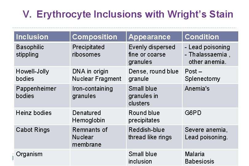 V. Erythrocyte Inclusions with Wright’s Stain Inclusion Composition Appearance Condition Basophilic stippling Precipitated ribosomes