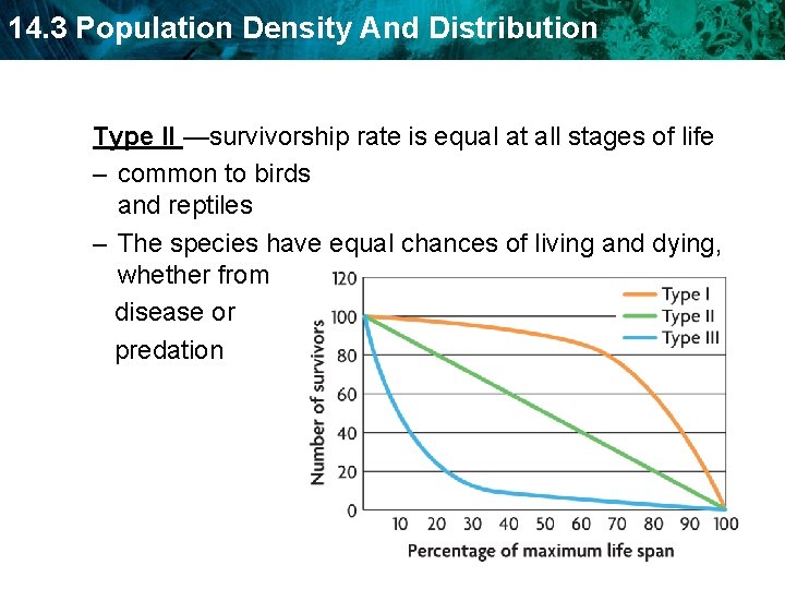 14. 3 Population Density And Distribution Type II —survivorship rate is equal at all 14. 3 Population Density And Distribution Type II —survivorship rate is equal at all