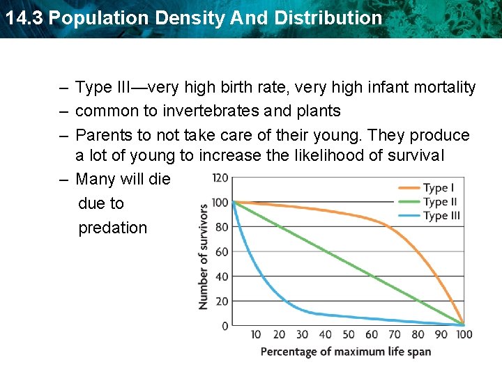 14. 3 Population Density And Distribution – Type III—very high birth rate, very high 14. 3 Population Density And Distribution – Type III—very high birth rate, very high