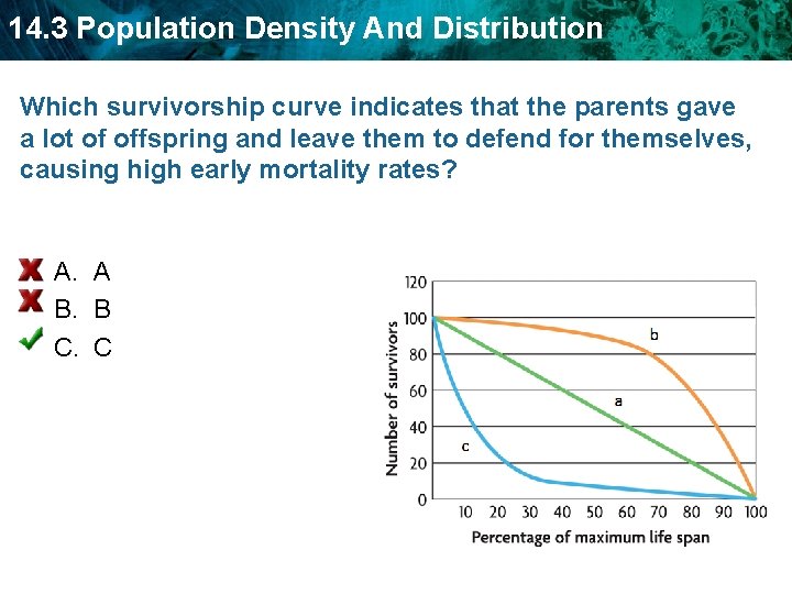 14. 3 Population Density And Distribution Which survivorship curve indicates that the parents gave 14. 3 Population Density And Distribution Which survivorship curve indicates that the parents gave