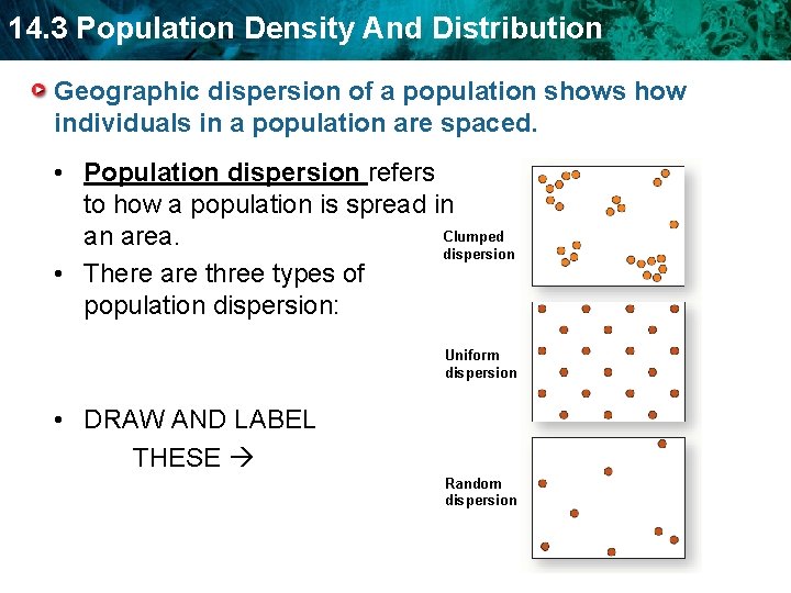 14. 3 Population Density And Distribution Geographic dispersion of a population shows how individuals 14. 3 Population Density And Distribution Geographic dispersion of a population shows how individuals