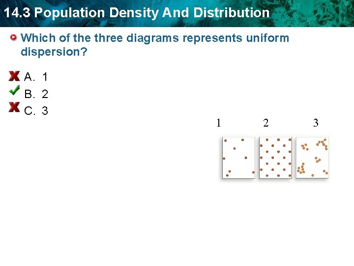 14. 3 Population Density And Distribution Which of the three diagrams represents uniform dispersion? 14. 3 Population Density And Distribution Which of the three diagrams represents uniform dispersion?