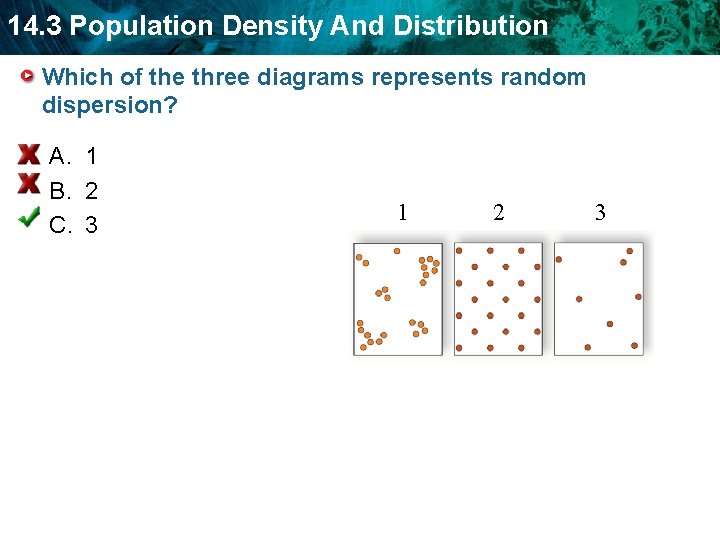 14. 3 Population Density And Distribution Which of the three diagrams represents random dispersion? 14. 3 Population Density And Distribution Which of the three diagrams represents random dispersion?