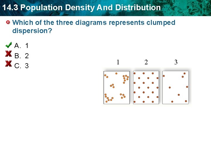 14. 3 Population Density And Distribution Which of the three diagrams represents clumped dispersion? 14. 3 Population Density And Distribution Which of the three diagrams represents clumped dispersion?
