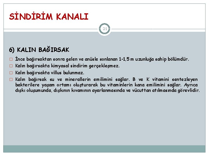 SİNDİRİM KANALI 21 6) KALIN BAĞIRSAK � İnce bağırsaktan sonra gelen ve anüsle sonlanan