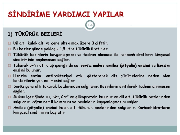 SİNDİRİME YARDIMCI YAPILAR 24 1) TÜKÜRÜK BEZLERİ � Dil altı, kulak altı ve çene