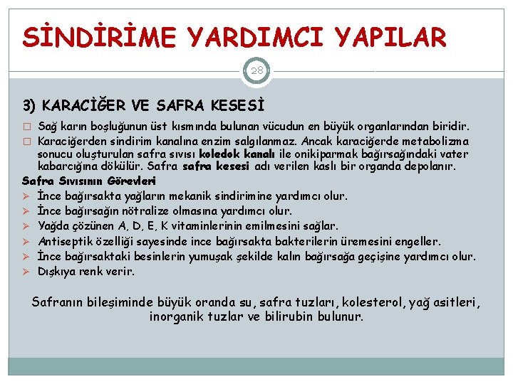 SİNDİRİME YARDIMCI YAPILAR 28 3) KARACİĞER VE SAFRA KESESİ � Sağ karın boşluğunun üst