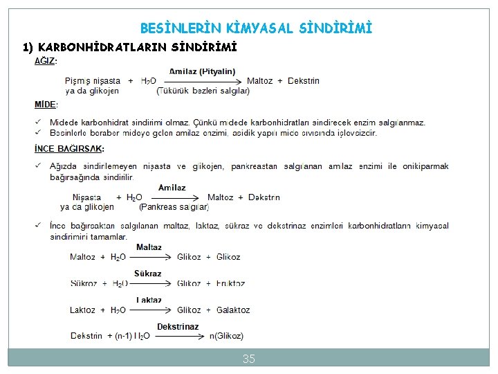 BESİNLERİN KİMYASAL SİNDİRİMİ 1) KARBONHİDRATLARIN SİNDİRİMİ 35 