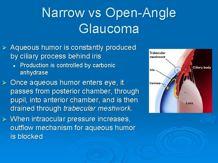 Narrow vs Open-Angle Glaucoma Ø Aqueous humor is constantly produced by ciliary process behind