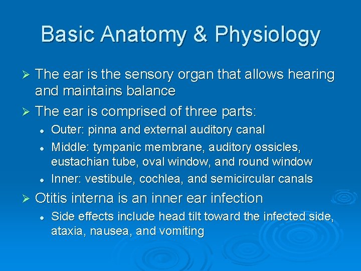 Basic Anatomy & Physiology The ear is the sensory organ that allows hearing and
