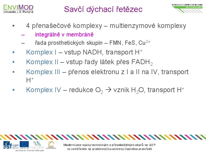 Savčí dýchací řetězec • 4 přenašečové komplexy – multienzymové komplexy – – • •