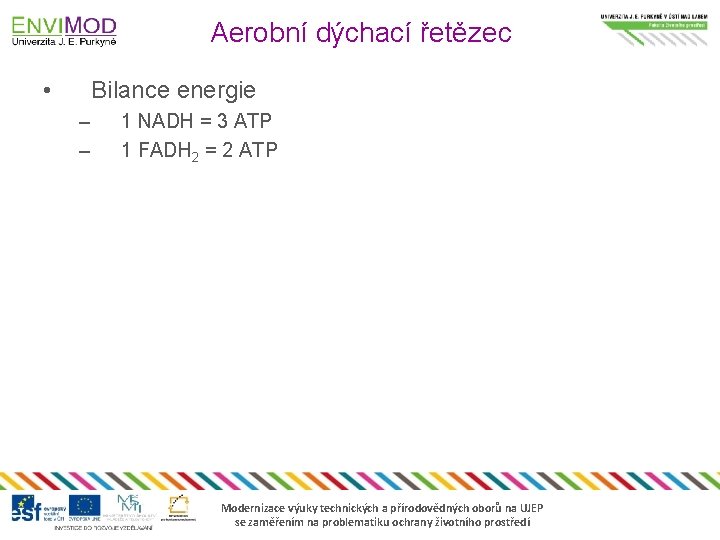 Aerobní dýchací řetězec • Bilance energie – – 1 NADH = 3 ATP 1