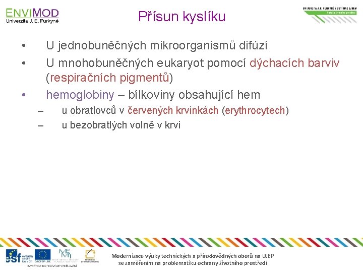 Přísun kyslíku • • U jednobuněčných mikroorganismů difúzí U mnohobuněčných eukaryot pomocí dýchacích barviv