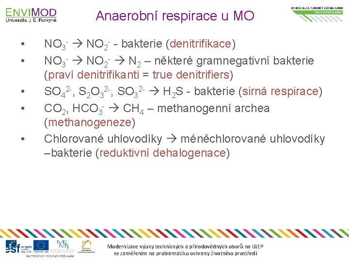 Anaerobní respirace u MO • • • NO 3 - NO 2 - -