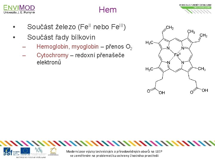 Hem • • Součást železo (Fe. II nebo Fe. III) Součást řady bílkovin –