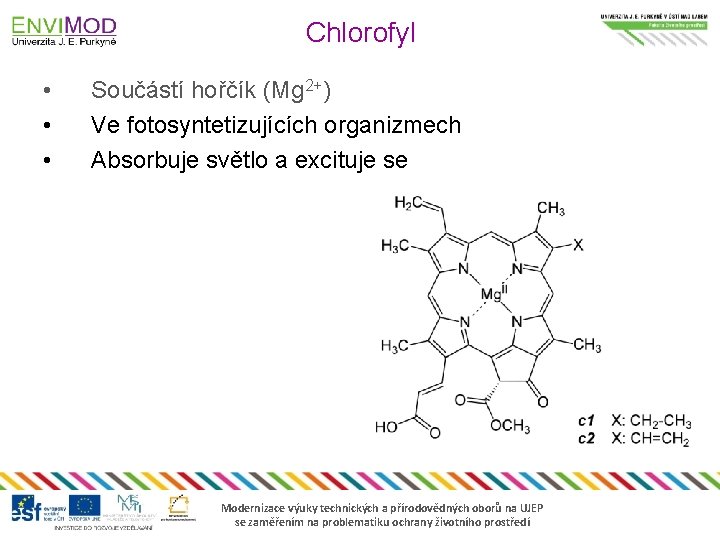 Chlorofyl • • • Součástí hořčík (Mg 2+) Ve fotosyntetizujících organizmech Absorbuje světlo a