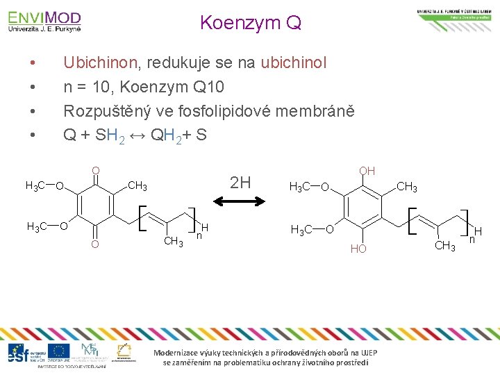 Koenzym Q • • Ubichinon, redukuje se na ubichinol n = 10, Koenzym Q