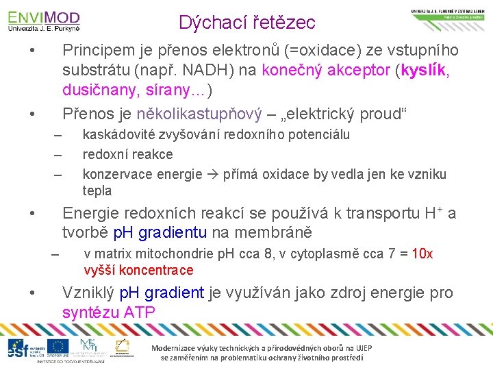 Dýchací řetězec • Principem je přenos elektronů (=oxidace) ze vstupního substrátu (např. NADH) na