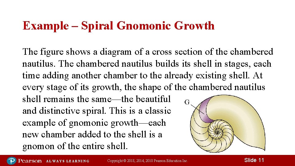 Example – Spiral Gnomonic Growth The figure shows a diagram of a cross section