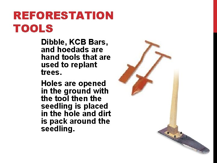 REFORESTATION TOOLS Dibble, KCB Bars, and hoedads are hand tools that are used to