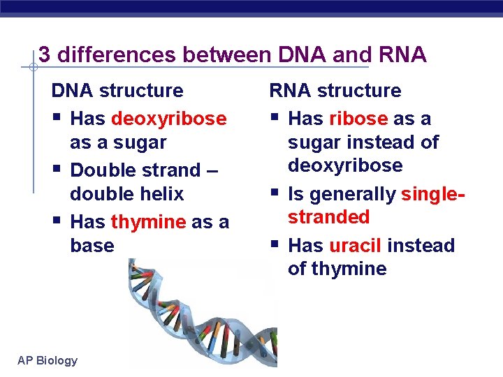 3 differences between DNA and RNA DNA structure § Has deoxyribose as a sugar