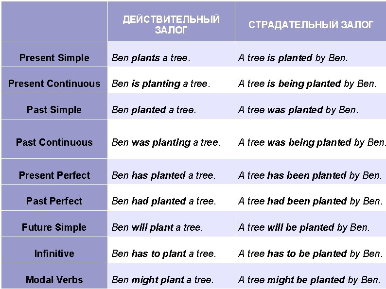 ДЕЙСТВИТЕЛЬНЫЙ ЗАЛОГ Present Simple СТРАДАТЕЛЬНЫЙ ЗАЛОГ Ben plants a tree. A tree is planted