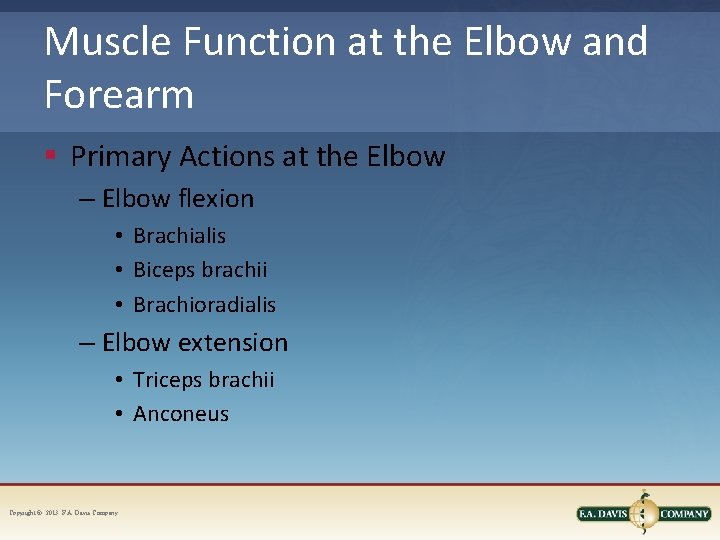 Muscle Function at the Elbow and Forearm § Primary Actions at the Elbow –