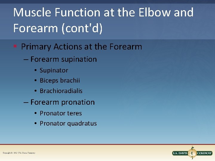 Muscle Function at the Elbow and Forearm (cont'd) § Primary Actions at the Forearm