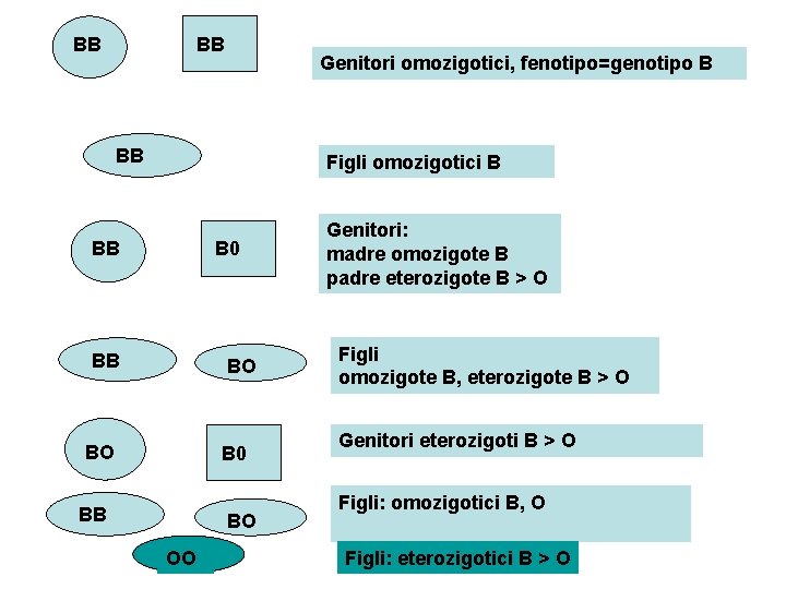 BB BB Genitori omozigotici, fenotipo=genotipo B BB Figli omozigotici B BB B 0 BB