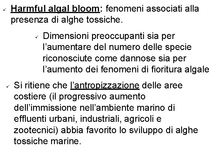 ü Harmful algal bloom: fenomeni associati alla presenza di alghe tossiche. ü ü Dimensioni