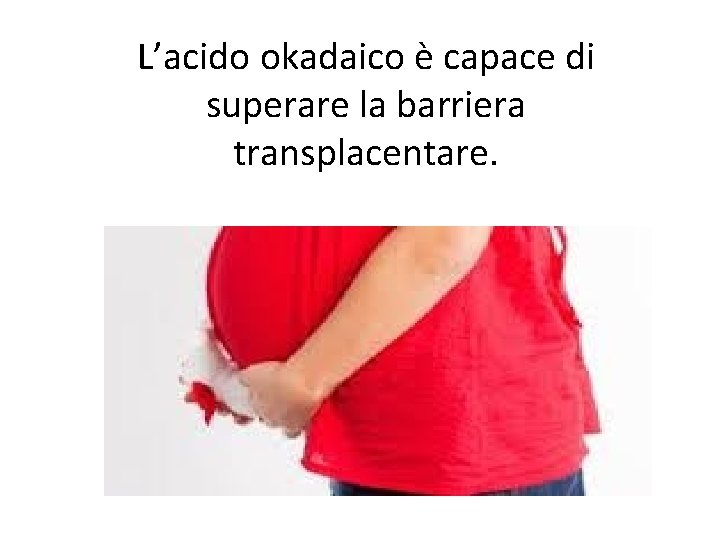 L’acido okadaico è capace di superare la barriera transplacentare. 