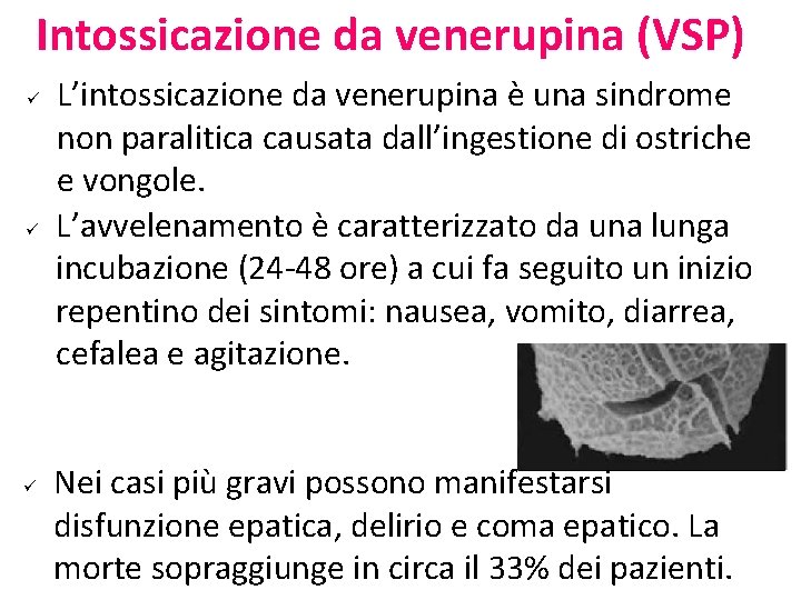 Intossicazione da venerupina (VSP) ü ü ü L’intossicazione da venerupina è una sindrome non