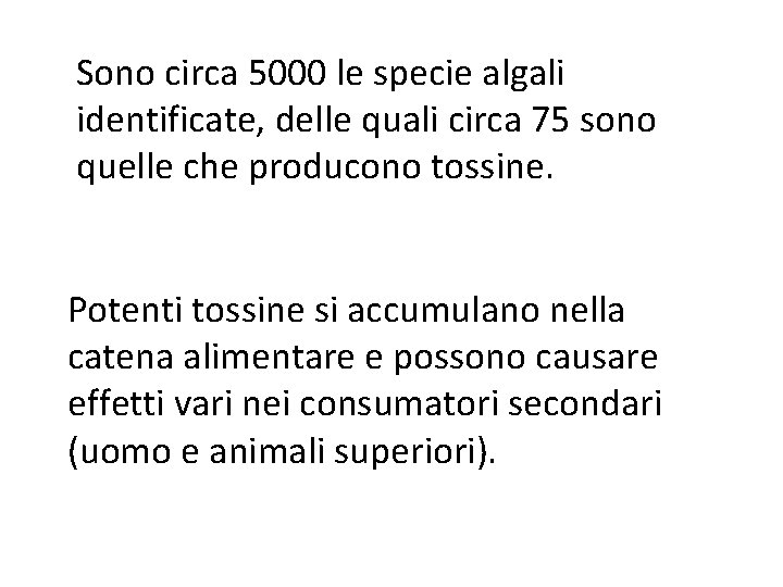 Sono circa 5000 le specie algali identificate, delle quali circa 75 sono quelle che