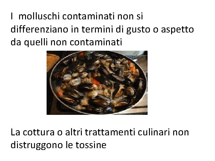 I molluschi contaminati non si differenziano in termini di gusto o aspetto da quelli