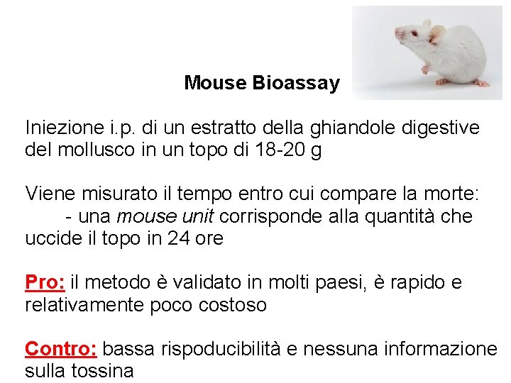 Mouse Bioassay Iniezione i. p. di un estratto della ghiandole digestive del mollusco in