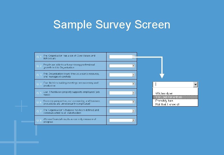 Sample Survey Screen 
