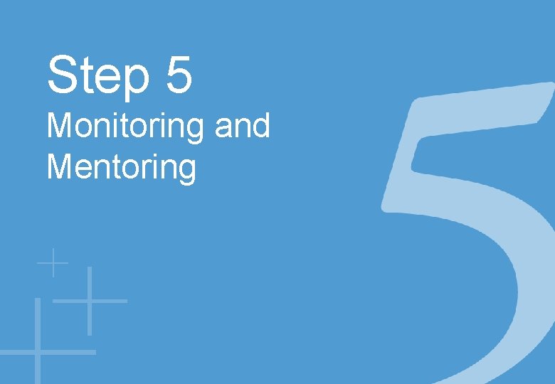 Step 5 Monitoring and Mentoring 