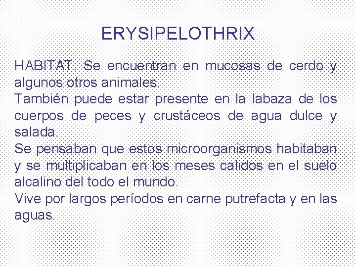 ERYSIPELOTHRIX HABITAT: Se encuentran en mucosas de cerdo y algunos otros animales. También puede