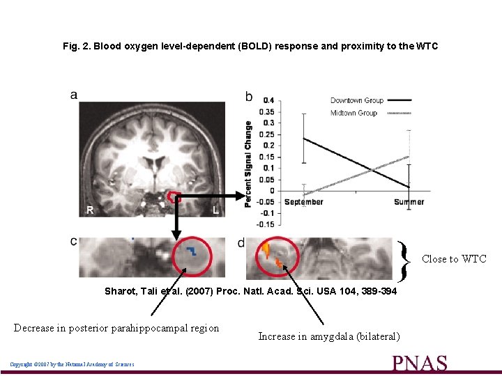 Fig. 2. Blood oxygen level-dependent (BOLD) response and proximity to the WTC } Sharot,