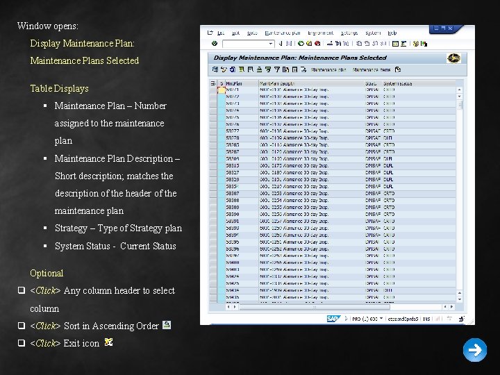 Window opens: Display Maintenance Plan: Maintenance Plans Selected Table Displays § Maintenance Plan –