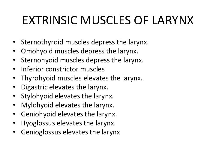 EXTRINSIC MUSCLES OF LARYNX • • • Sternothyroid muscles depress the larynx. Omohyoid muscles