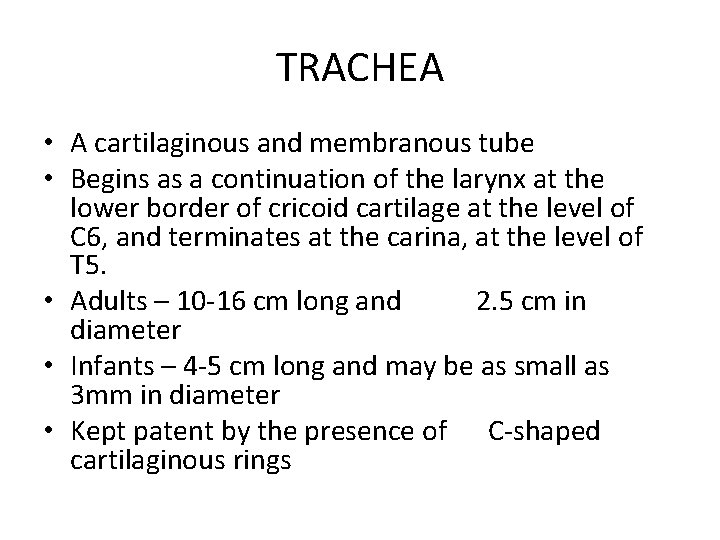 TRACHEA • A cartilaginous and membranous tube • Begins as a continuation of the