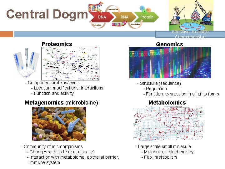 Central Dogma: Sensitive Scalable Comprehensive Proteomics - Component proteins/levels - Location, modifications, interactions -