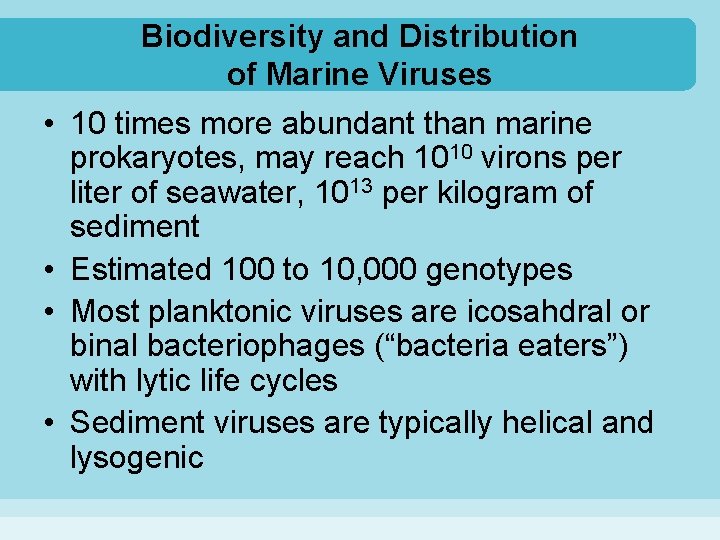 Biodiversity and Distribution of Marine Viruses • 10 times more abundant than marine prokaryotes,