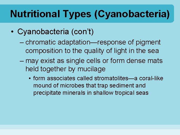 Nutritional Types (Cyanobacteria) • Cyanobacteria (con’t) – chromatic adaptation—response of pigment composition to the