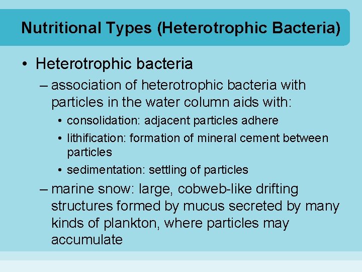 Nutritional Types (Heterotrophic Bacteria) • Heterotrophic bacteria – association of heterotrophic bacteria with particles