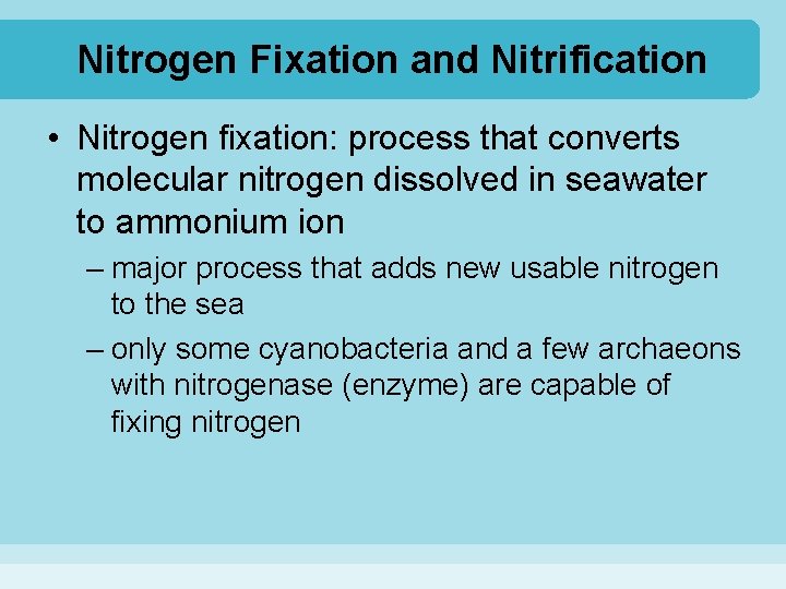 Nitrogen Fixation and Nitrification • Nitrogen fixation: process that converts molecular nitrogen dissolved in