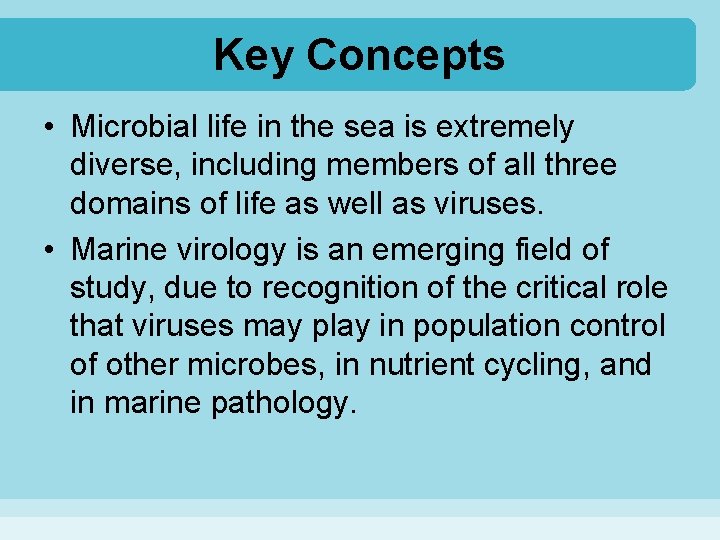 Key Concepts • Microbial life in the sea is extremely diverse, including members of